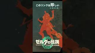 なかなか珍しいリンクが見れたわｗ #ゼルダの伝説ティアーズオブザキングダム