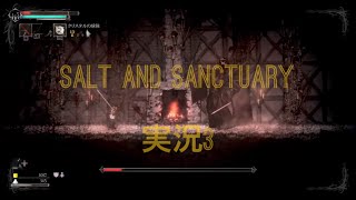 salt and sanctuary 実況　3