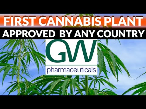 GW Pharmaceuticals Financial Stock Review: STOCK PICK OF THE MONTH: $GWPH