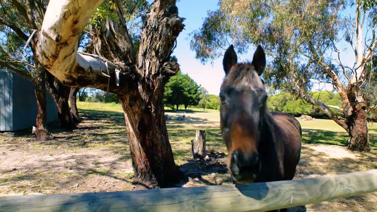 415 Coombes Road, Bellbrae