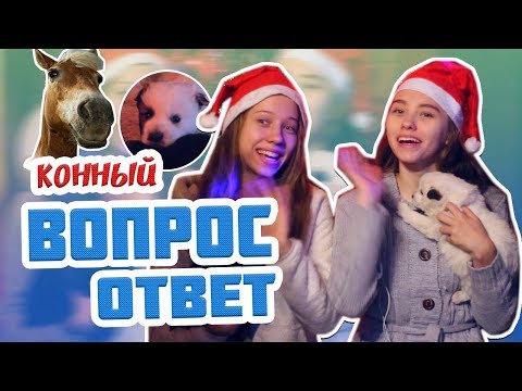  Я ПОКУПАЮ ЛОШАДЬ? Вопрос-ответ с Евгешей #1 #MTkonoBLOG MarishaMT blogger