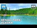 4K Denali National Park Alaska USA Horseshoe Lake Trail Hiking Walking Tour Treadmill Workout