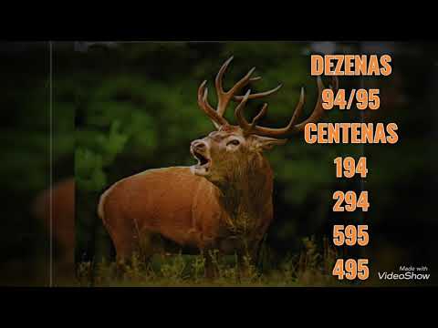 PALPITES DO DIA 30/10/2020/MANHÃ TARDE”VALENDO PARA TODAS AS LOTERIAS,JOGAR ATÉ 21:00..BOA SORTE 🍀