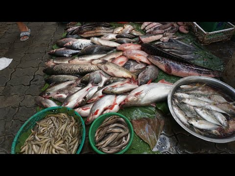Morning Activities of Khmer People @Boeng Trabek Plaza - Morning Food Market Scene in Town