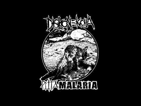 Diskonekcija - Split w/ Puta Malaria {2018}