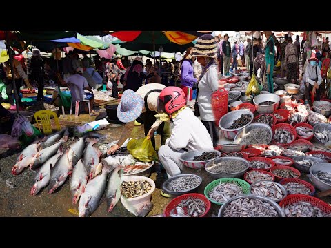 Cambodian Fish Market Scene 2023 - Lifestyle Vendors Selling Rural Fish, River Fish, Seafood & More