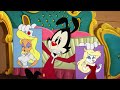 Animaniacs Season 3 Old Characters Appearances