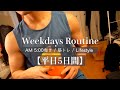 【ルーティン】筋トレ大好きIT企業勤務サラリーマン(26)の平日Vlog#22