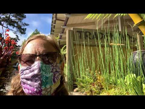 Carmel Area Comebacks - Tradewinds Carmel