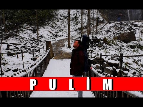 PULİM AKUSTİK - MUSTAFA SAİT ÇELİK