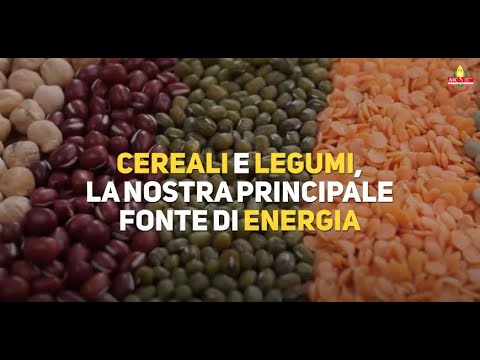 , title : 'Cereali e legumi, la nostra principale fonte di energia'