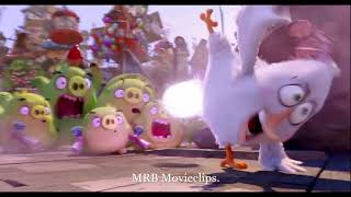 🐦Angry Birds  - Matilda's Power.🎃