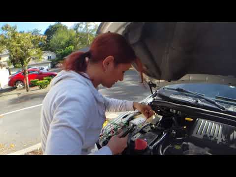 EMP SHIELD Installation 🔥 My WIFE INSTALLS ours in 10 MINUTES!👊 Not your average PDR 😉