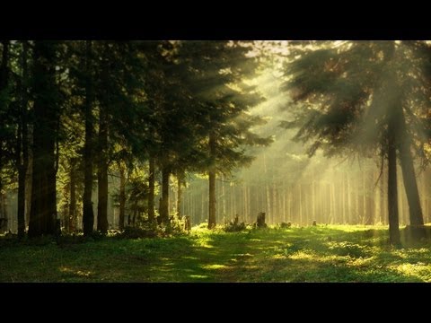 Jeden Morgen geht die Sonne auf