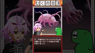 まるでクリーチャー！！？な深海生物「センジュナマコ」さん