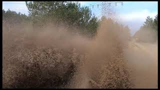 SANDSPIEL