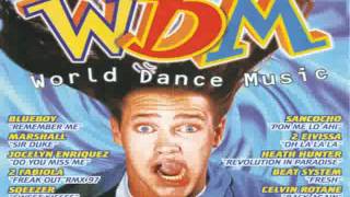 World Dance Music Megamix WDM
