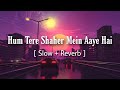 Hum Tere Shaher Mein Aaye Hai Slow Reverb Song Ghulam Ali Lofi Music Company