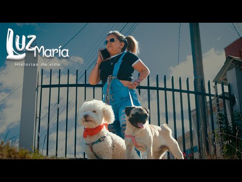 He spoke like a dog because he lost the one he was looking after.