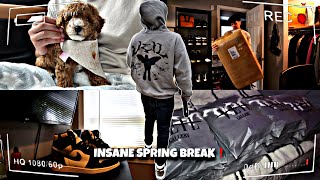 I Started My Clothing-Brand! | SPRING BREAK VLOG 24’