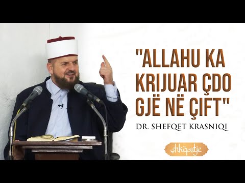 "Allahu ka krijuar çdo gjë në çift" - SHKËPUTJE - Dr. Shefqet Krasniqi