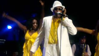 Life Of The Party.mp4