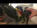 Jurassic World Rebirth Wild Roar Maiasaura Vs Gigantic Thrashers Tyrannotitan Fan Commercial