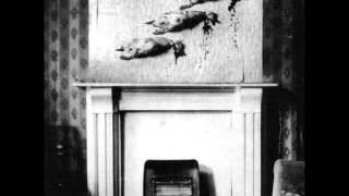 Alastair Galbraith - Yuhahi Coast Road