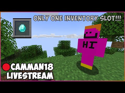 Insane Minecraft Speedrun with ONE Inventory Slot!