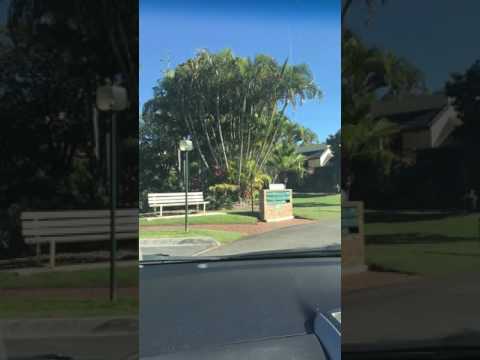 Aveo The Domain Country Club