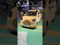 Wuling Mini EV Capybara Edition Ev Cars Vehicles