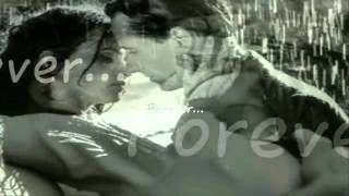 FOREVER by Rex Smith with lyrics   YouTube