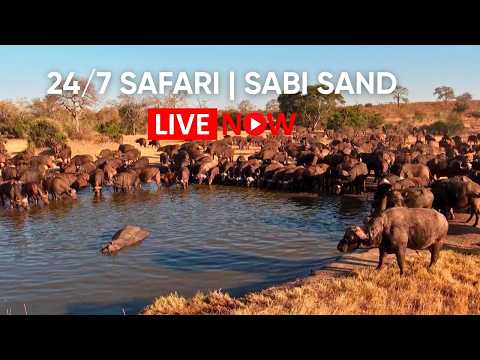 Kenya Chyulu Hills - Wildlife Live Cam live cam