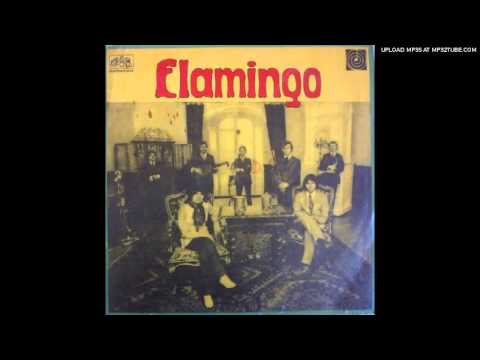 Flamingo - Quasimodův sen