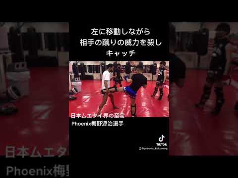 左ローキックのキャッチと効果的なカウンター【梅野源治選手解説】