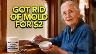 I Got Rid of Every Mold Spot for $2. No Bleach, No Scrubbing, No Pro