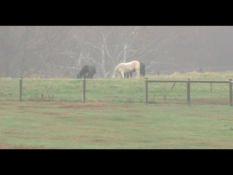 Full Measure Episode 14: Jan 03, 2016 (P3)