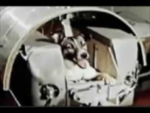 Laika Space Dog CCCP USSR Soviet Union 1957