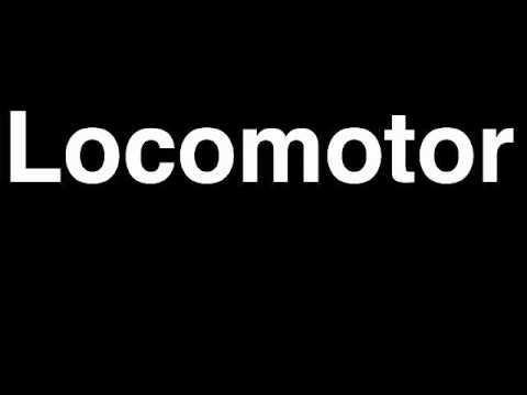 How to Pronounce Locomotor Harry Potter Charm Curse Casting Magic Spell Incantation Wizard Wand Duel