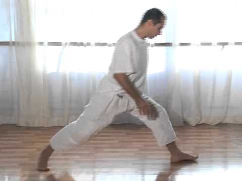 Put Zdravijeg Života - Tibetanci - Zoran Protić