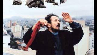 Tom Zé + Tortoise - Track 08 (&quot;O Gene&quot;?)