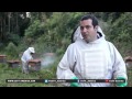 Organic Honey In Brazil Increases In Popularity