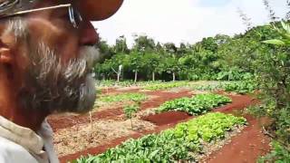 Master Gardeners of Paradise a proposed documentary film by Darrel Jarmusch