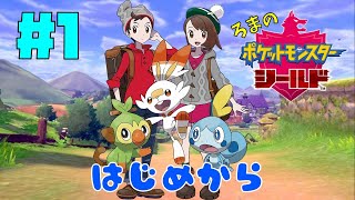 【ポケットモンスターソードシールド】＃１ガラル地方で大冒険‼