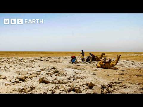 The Truth Behind Ethiopia's Salt Lakes | Misadventures of Romesh Ranganathan | BBC Earth Explore