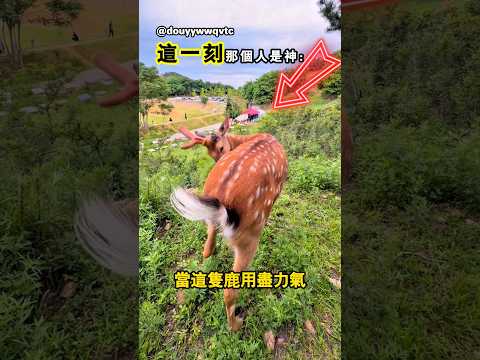 牠在那一刻感受到了人類的巨大作用