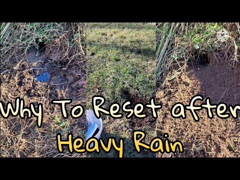 Why To Reset Your Trap After Heavy Rain ~ Checking the trapline {2021 2022 Season}