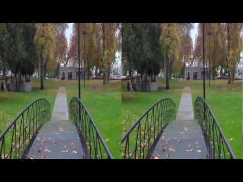 DXG-DVX5F9 3D 1080P| 3D Sample Video (LG CINEMA 3D)