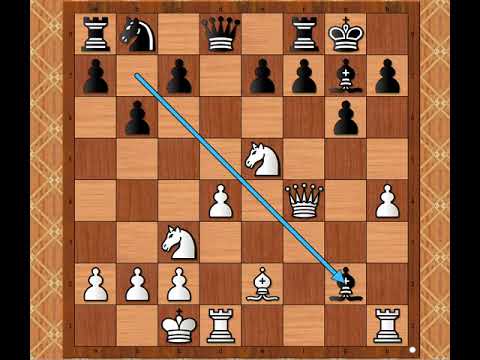 Prava prilika za napad na Kralja ☆  DIEMER vs  SCHONFUSS # 2160