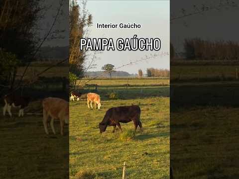 Vista Espetacular do Pampa Gaúcho #campanhagaucha #bage #interiorgaucho #alegrete #uruguaiana #sul